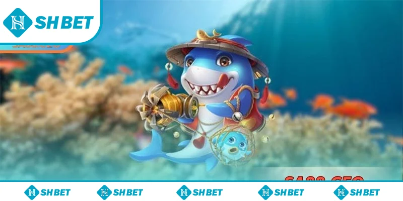 Bắt cá đại thánh SHbet chuẩn xác nhờ áp dụng chiến thuật chuyên sâu