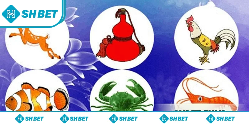 Quy định bầu cua SHbet Quy định bầu cua SHbet
