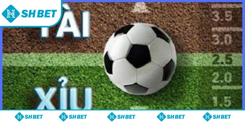 Cách đọc kèo tài xỉu cơ bản nhất cho tân thủ