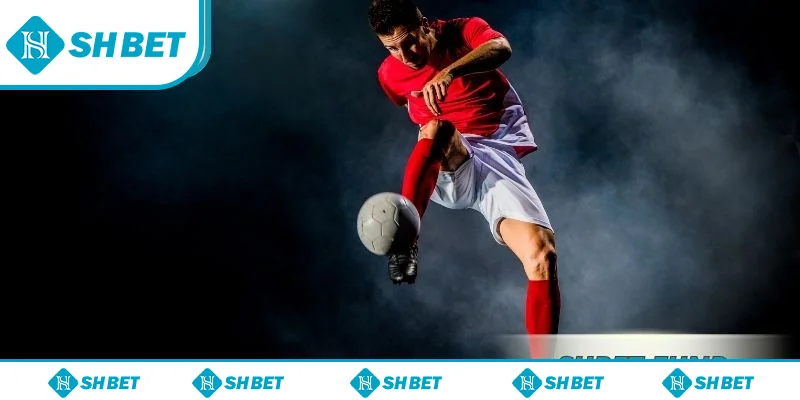 Kèo 1/2 SHbet – Kiến Thức Nền Tảng Và Bí Kíp Tối Ưu