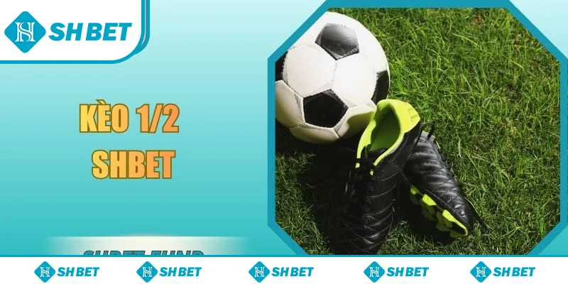 Kèo 1/2 SHbet