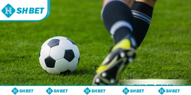 Kèo 1×2 SHbet – Hướng Dẫn Cách Chơi Chi Tiết Cho Tân Thủ