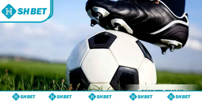 Một số loại hình kèo chấp trực tiếp SHbet cơ bản Một số loại hình kèo chấp trực tiếp SHbet cơ bản