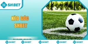 kèo góc SHbet