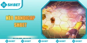 kèo handicap SHbet