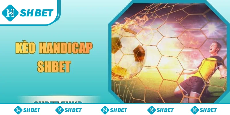 kèo handicap SHbet