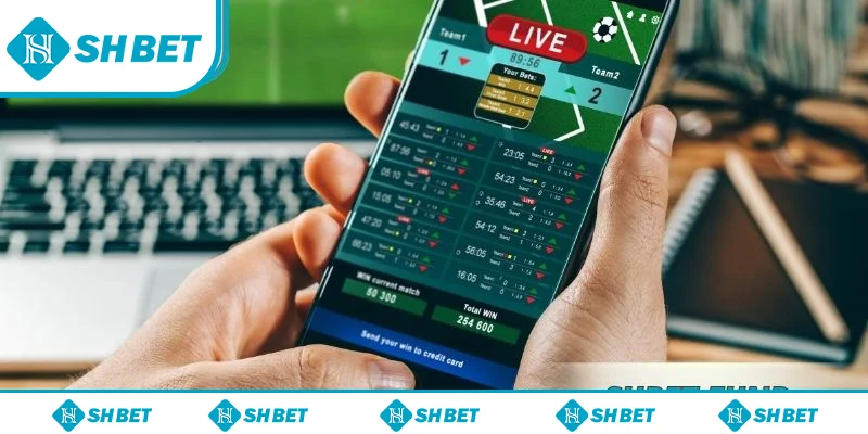 Top kèo nhà cái phổ biến tại nhà cái được hội viên yêu thích