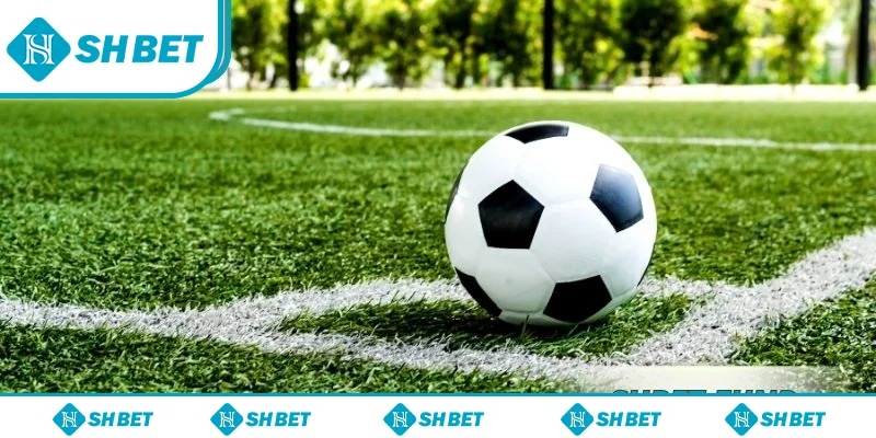 Một số hình thức kèo sớm SHbet phổ biến Một số hình thức kèo sớm SHbet phổ biến