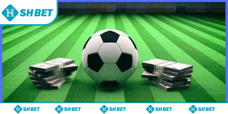 Kinh nghiệm soi kèo trước trận cho bet thủ Kinh nghiệm soi kèo trước trận cho bet thủ