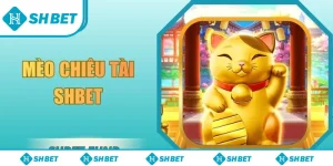 Mèo chiêu tài SHbet