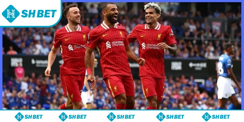 Bật mí cách soi kèo Liverpool dành cho người mới tham gia