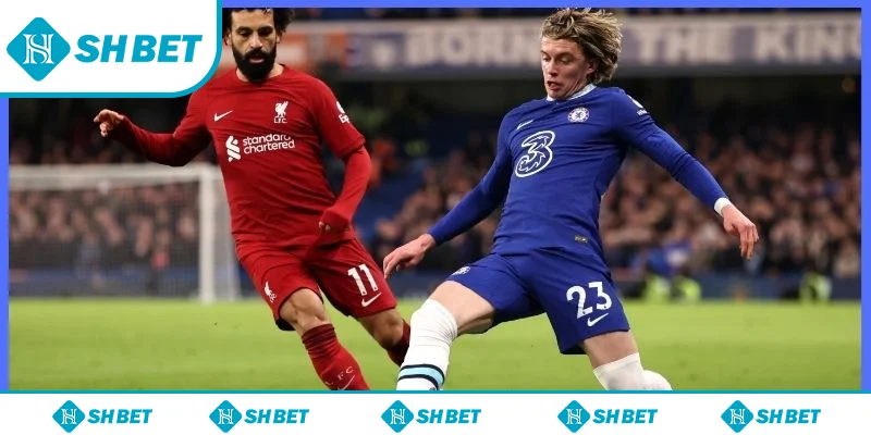 Thông tin cơ bản về soi kèo bóng đá hôm nay Thông tin cơ bản về soi kèo bóng đá hôm nay