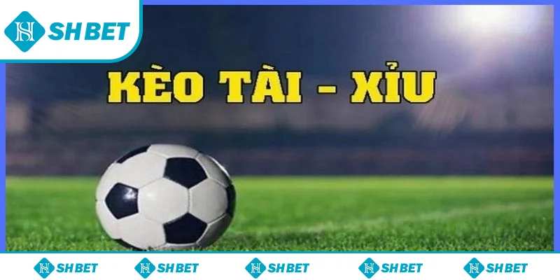 Bí quyết soi kèo tài xỉu hiệu quả cho cược thủ
