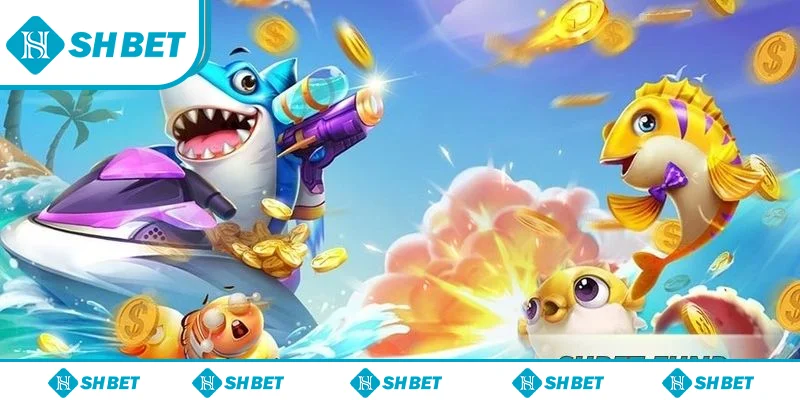 Tránh thao tác vội vàng vương gia đánh cá SHbet để nâng cao thành tích Tránh thao tác vội vàng vương gia đánh cá SHbet để nâng cao thành tích