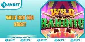 Wild đạo tặc SHbet