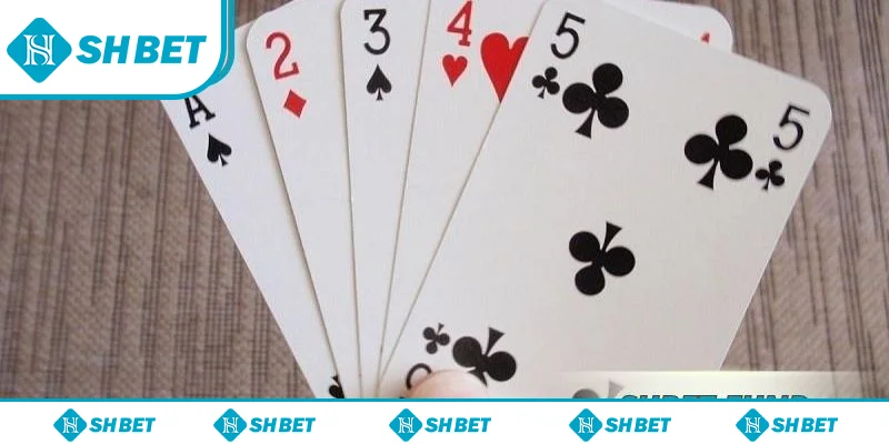 Xì Dách SHbet – Hướng Dẫn Cơ Bản Và Chiến Thuật Nâng Cao