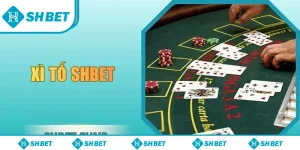 Xì tố SHbet