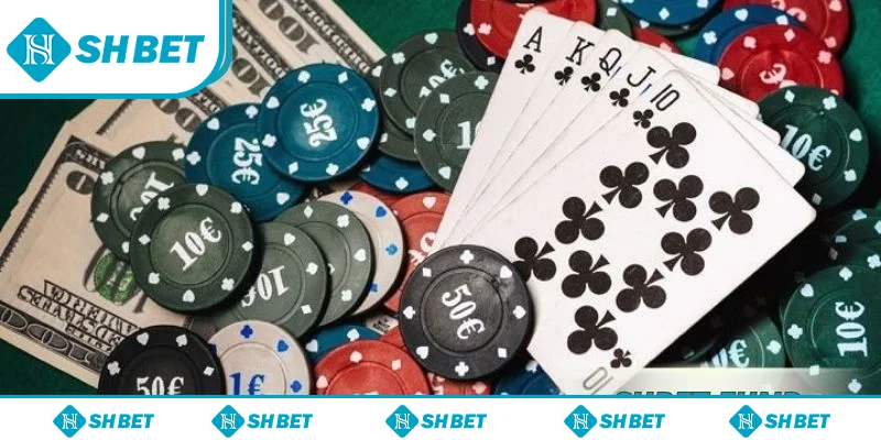 Xì tố SHbet giúp quan sát diễn biến, nắm bắt cơ hội Xì tố SHbet giúp quan sát diễn biến, nắm bắt cơ hội